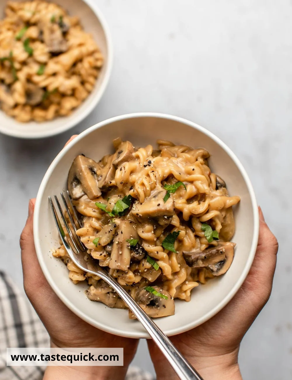 Vegan Mushroom Stroganoff