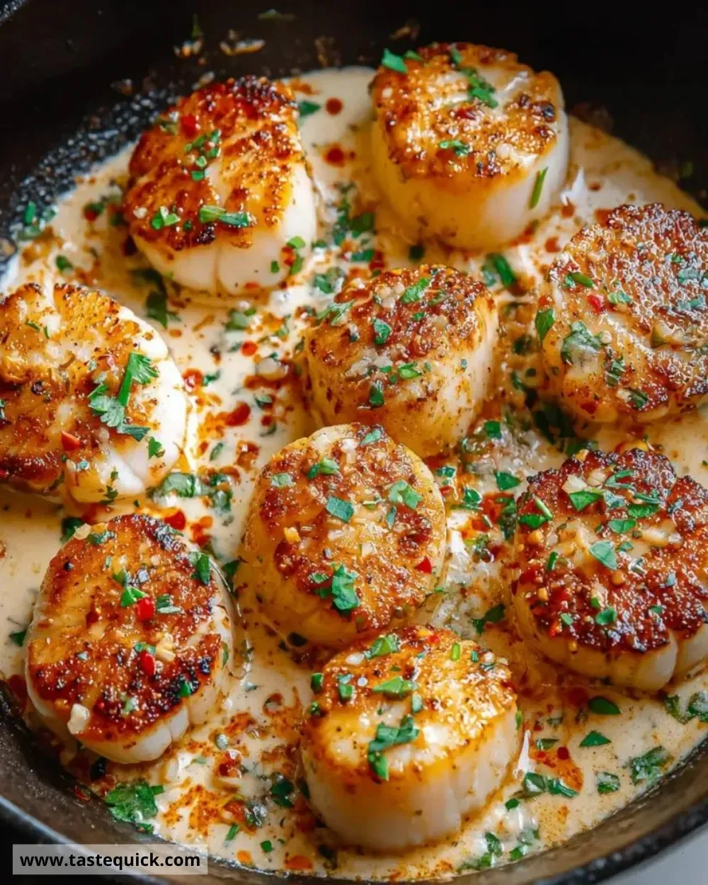 Plate of seared scallops drizzled with spicy Cajun cream sauce