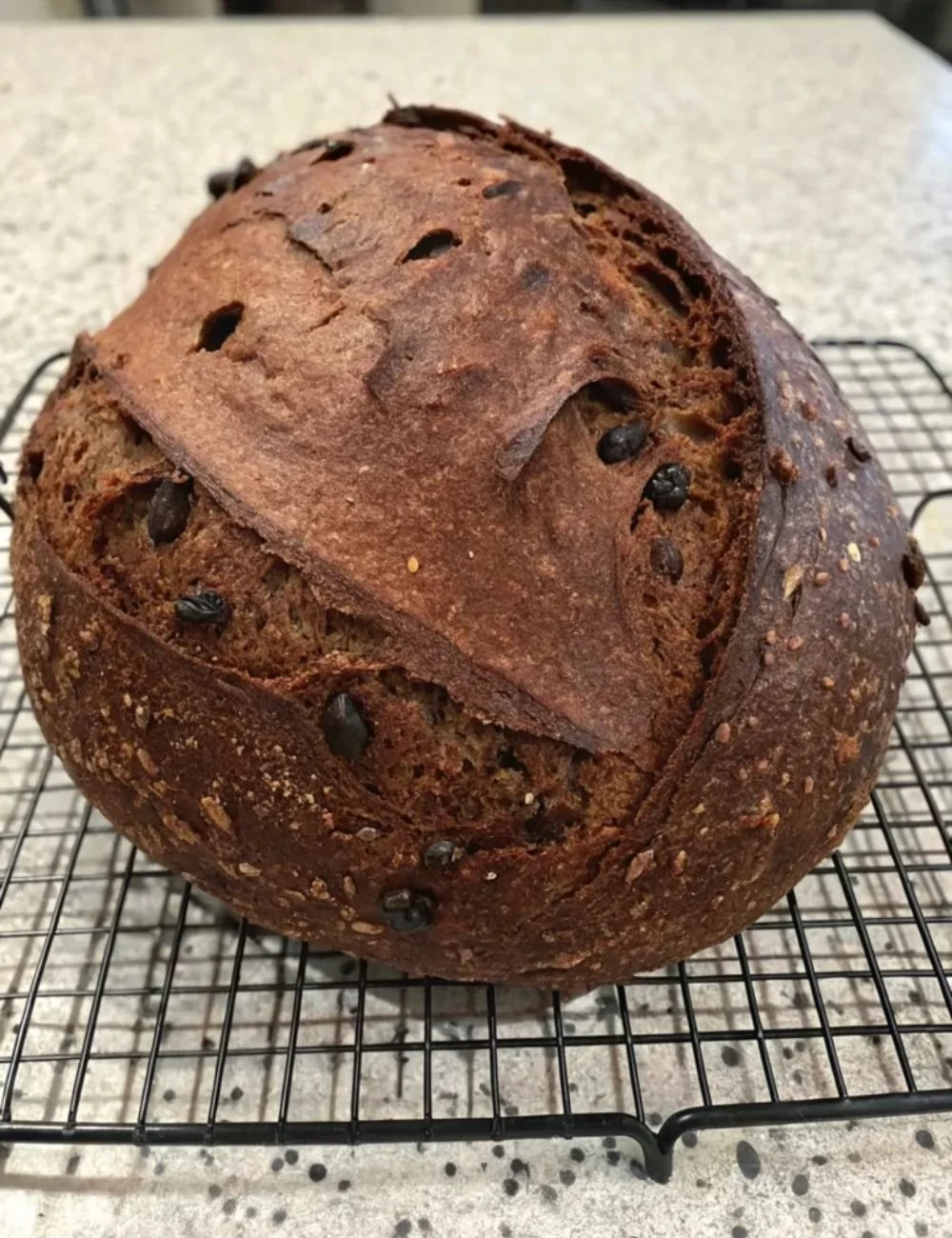 Loaf of chocolate sourdough bread with a rich, dark texture and chocolate chips