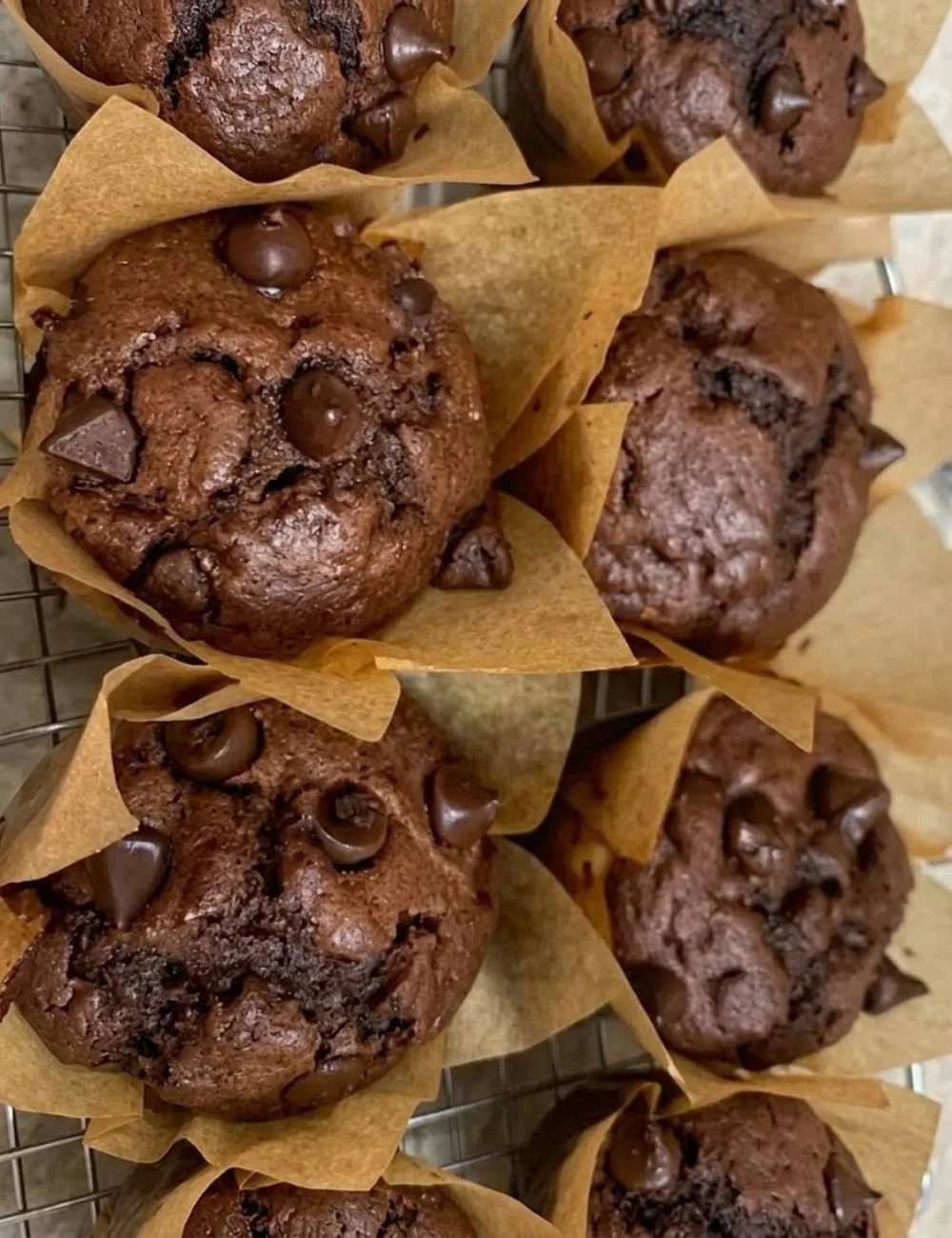 Freshly baked chocolate sourdough muffins on a cooling rack