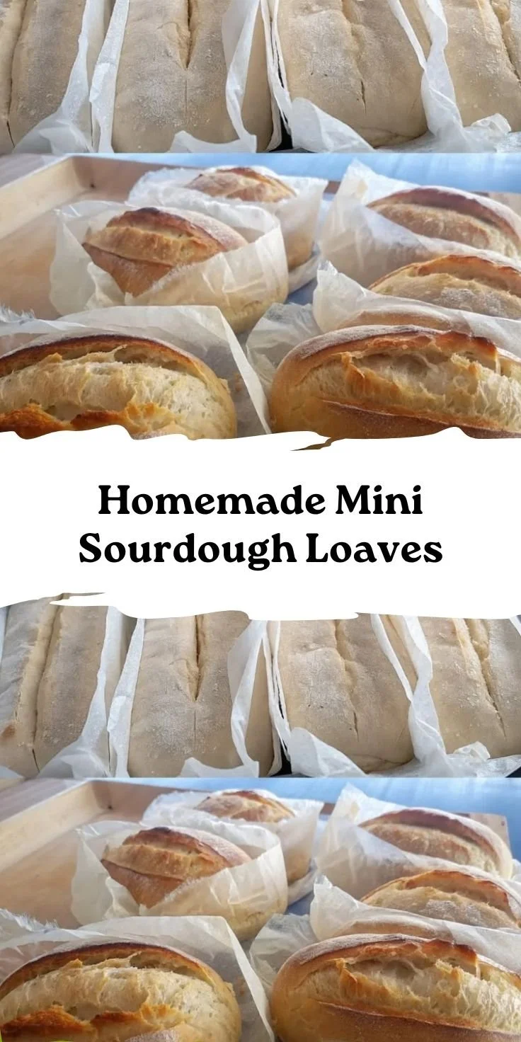 Homemade Mini Sourdough Loaves