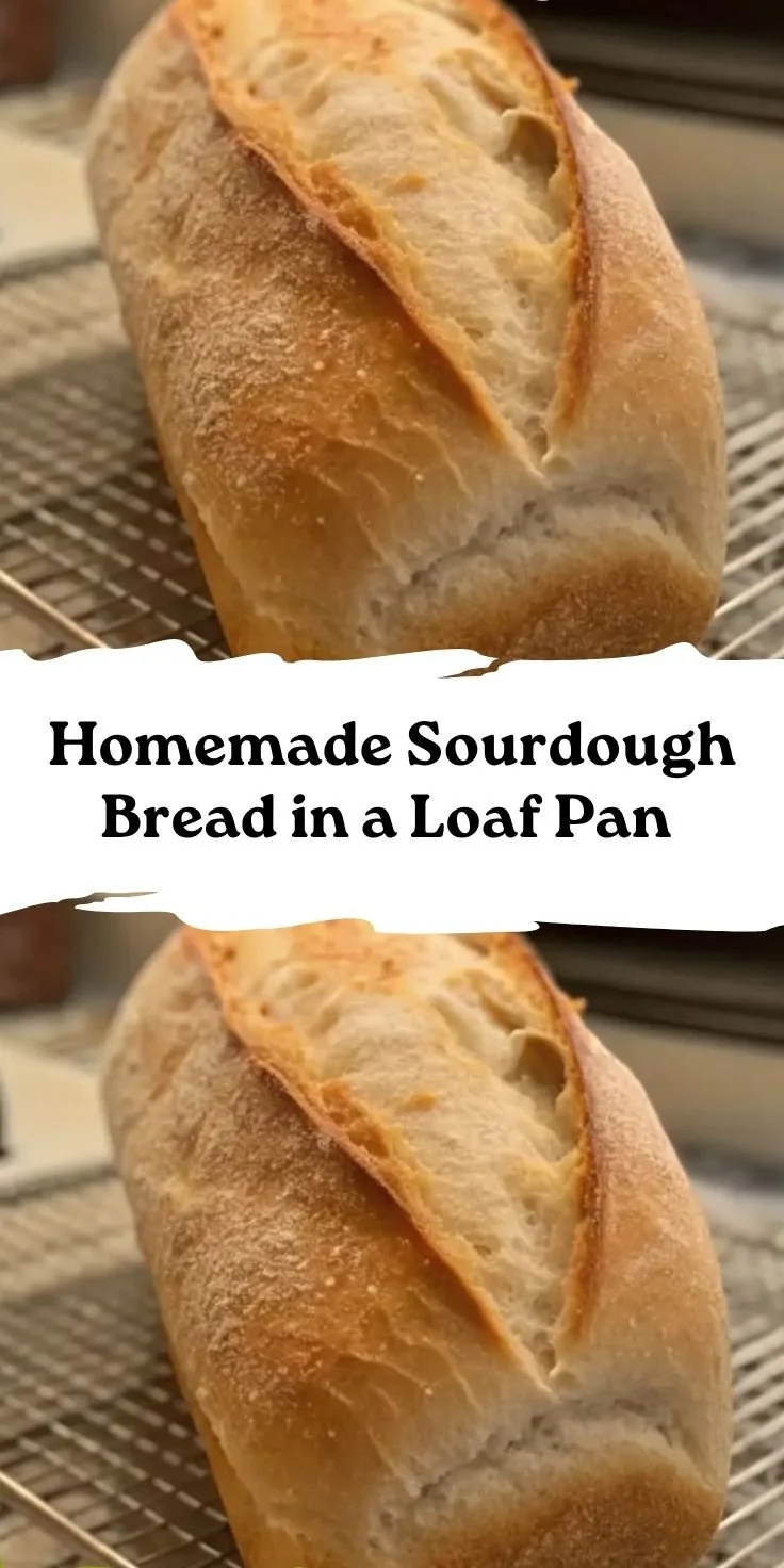 Homemade Sourdough Bread in a Loaf Pan