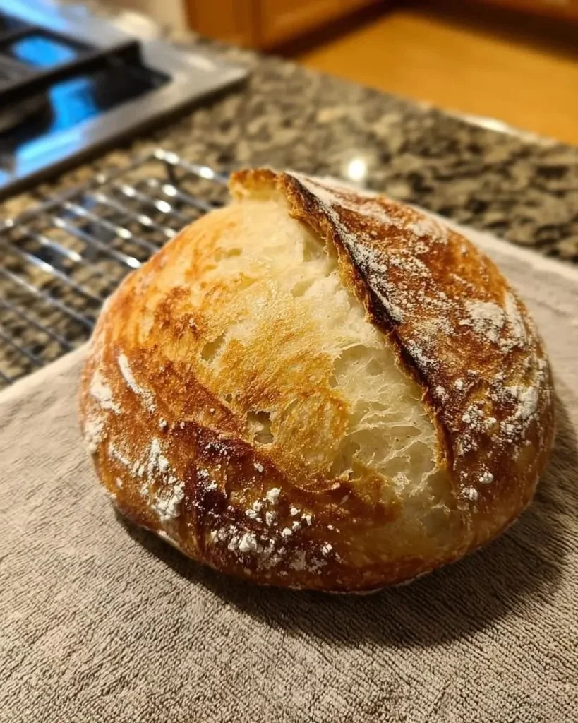 No-bulk-fermentation sourdough bread baked by the Lazy Baker